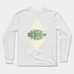 Echeveria II Long Sleeve T-Shirt